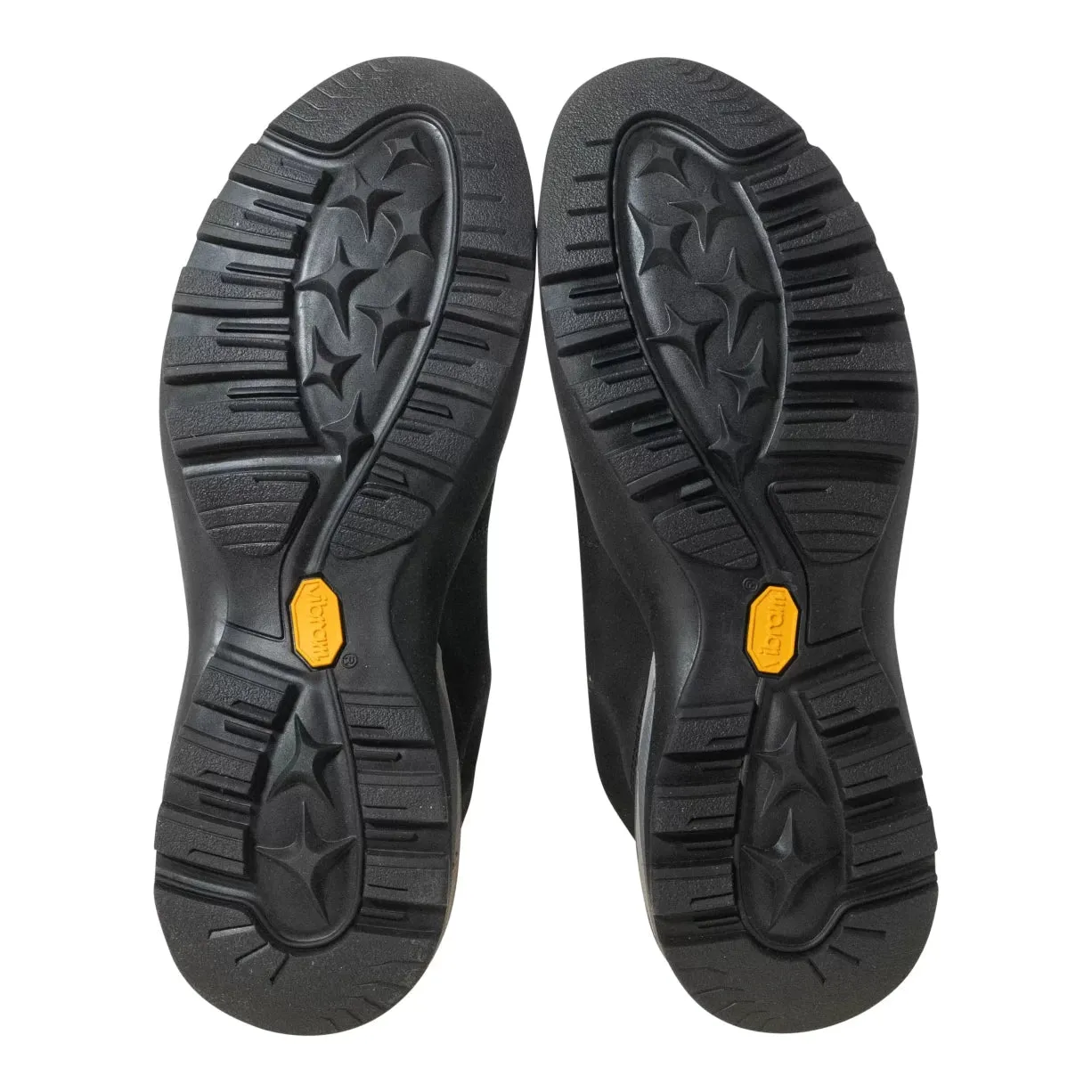 Asolo Cactus GV Hiking Shoe - Men's
