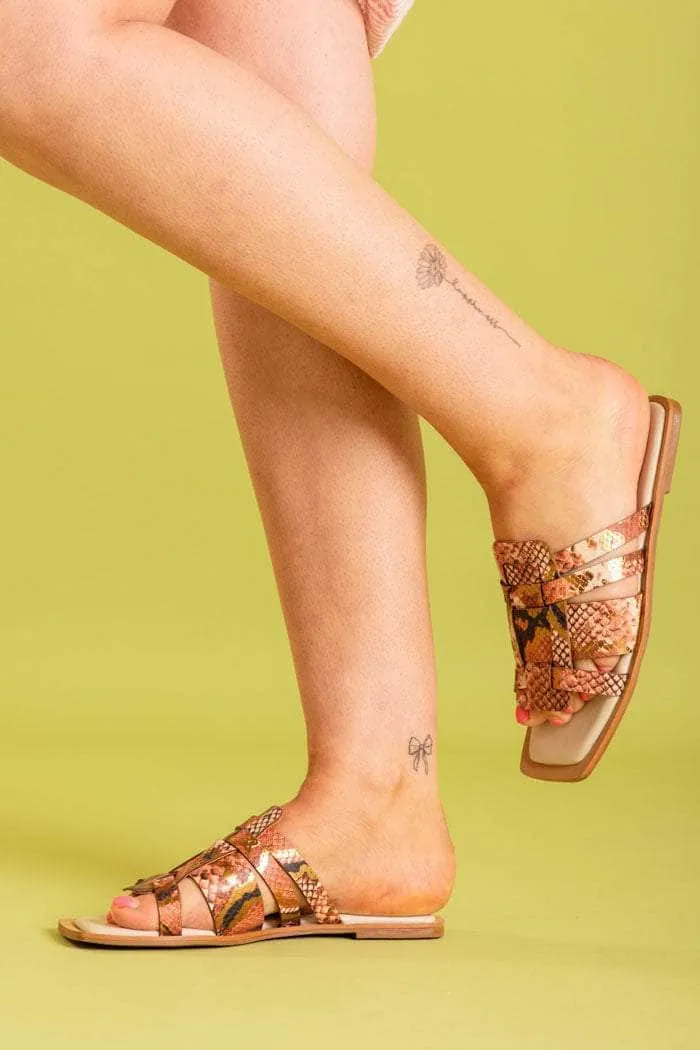 Lunar Sandal Snake