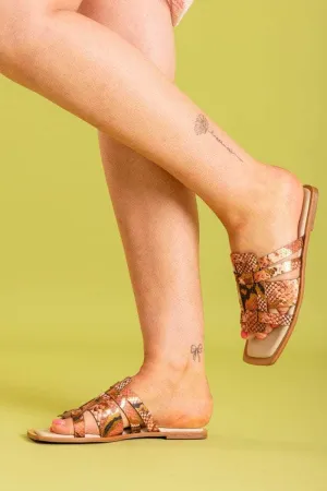 Lunar Sandal Snake