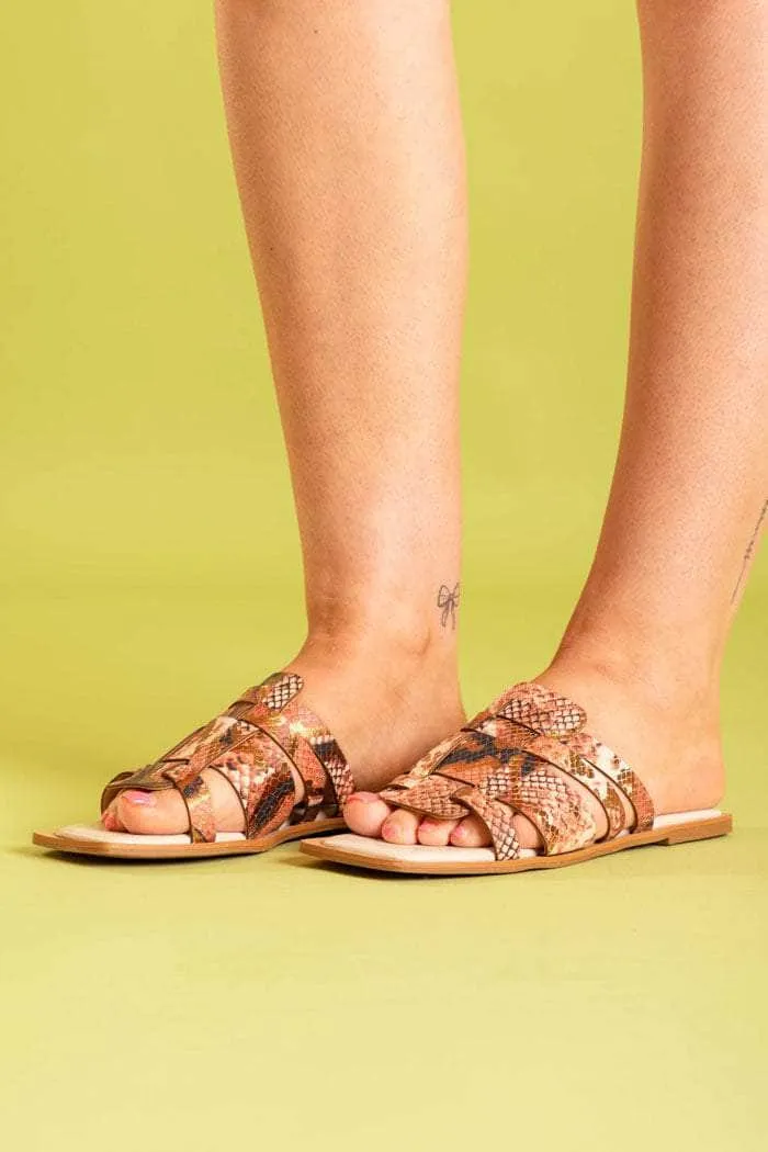 Lunar Sandal Snake